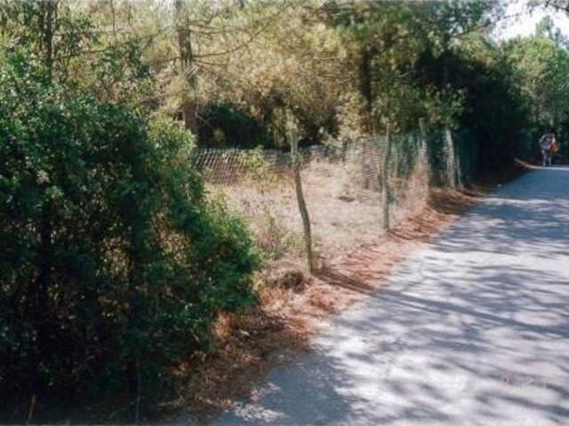 Terreno in vendita a Marina di Castagneto Carducci, Bolgheri