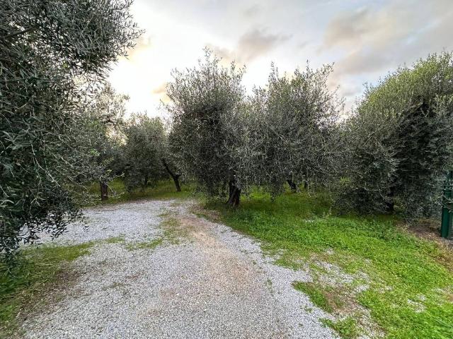 Terreno in vendita a Bolgheri, Toscana