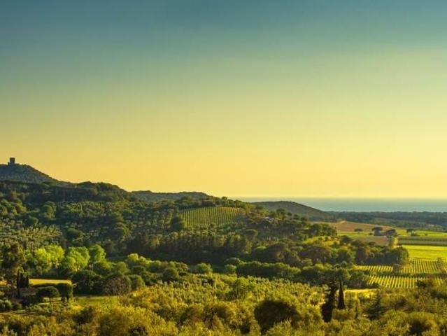 Terreno in vendita a Castagneto Carducci, Livorno