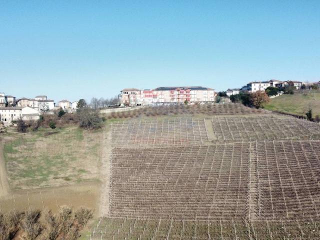 Terreno in vendita a Castagnole delle Lanze, Piemonte