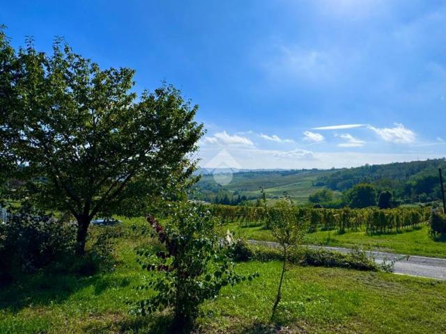Terreno in vendita a Castana, Lombardia