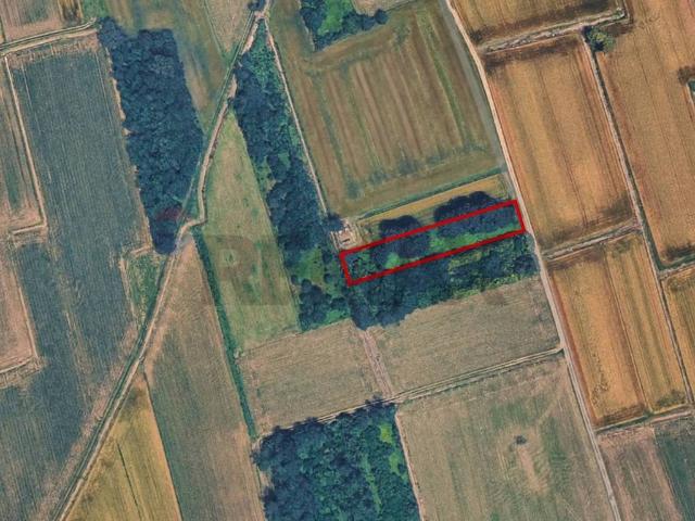 Terreno in vendita a Castano Primo, Lombardia
