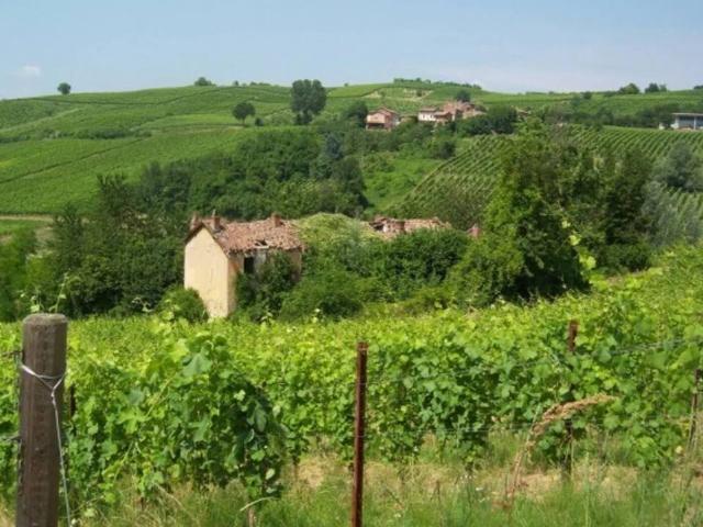 Terreno in vendita a Casteggio, Lombardia