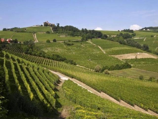 Terreno in vendita a Casteggio, Lombardia