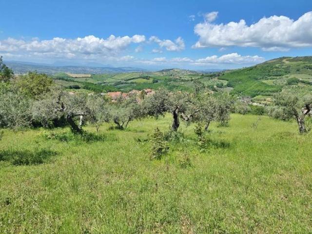 Terreno in vendita a Castel Baronia, Campania