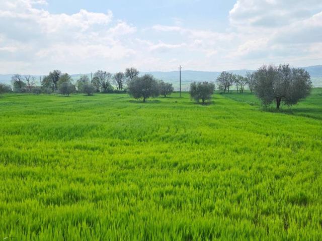 Terreno in vendita a Terre dell’Ufita, Castel Baronia