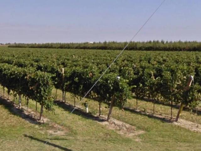 Terreno in vendita a Unione della Romagna Faentina, Castel Bolognese