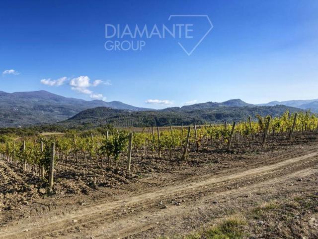 Terreno in vendita a Unione dei Comuni Montani Amiata Grossetana, Castel Del Piano