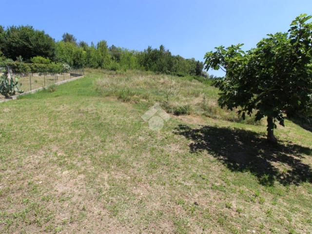Terreno in vendita a Cerreto, Marche