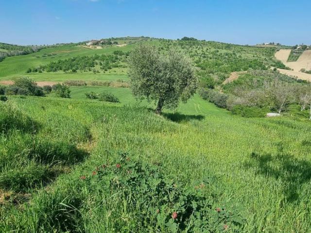 Terreno in vendita a Marche, Ascoli Piceno