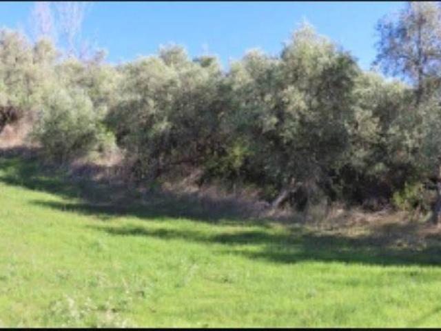 Terreno in vendita a Crocetta, Castel Frentano