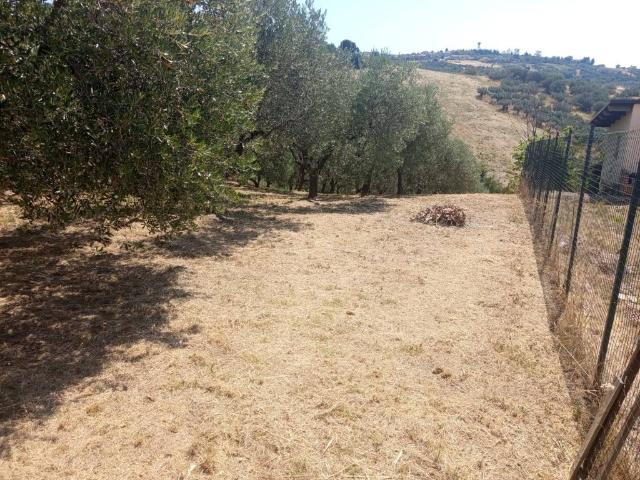 Terreno in vendita a Castel Frentano, Abruzzo