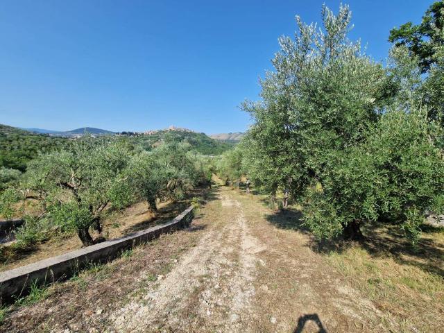 Terreno in vendita a Roma Capitale, Lazio