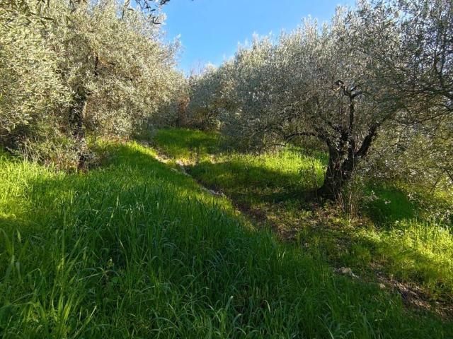 Terreno in vendita a Roma Capitale, Lazio