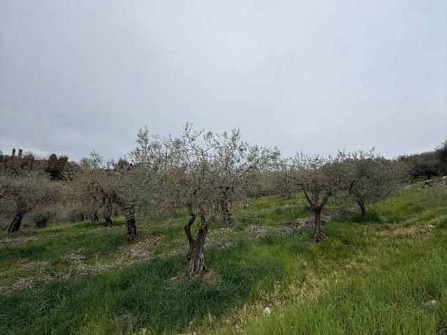 Terreno in vendita a Colle Passero, Roma Capitale