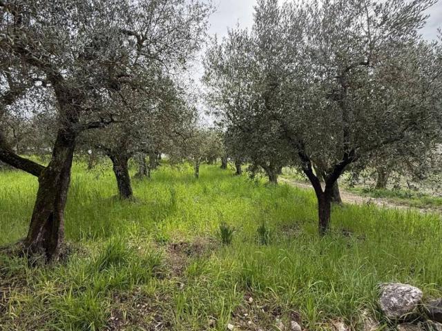 Terreno in vendita a Roma Capitale, Lazio
