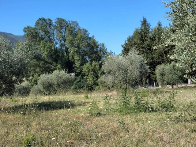 Terreno in vendita a Roma Capitale, Lazio