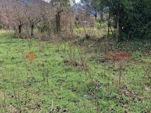 Terreno in vendita a Castel San Giorgio, Campania