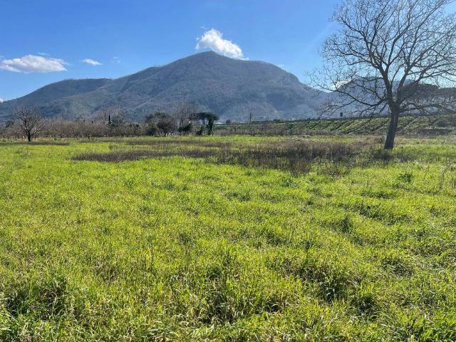 Terreno in vendita a Castel San Giorgio, Campania
