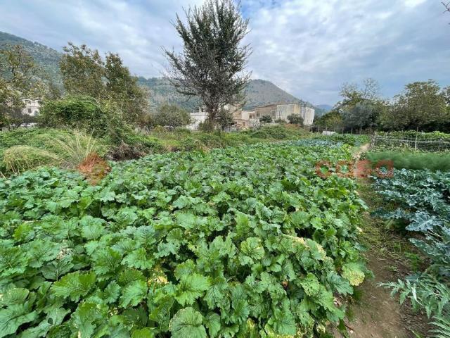 Terreno in vendita a Castel San Giorgio, Campania