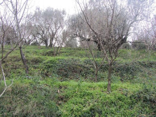 Terreno in vendita a Castel San Giorgio, Campania