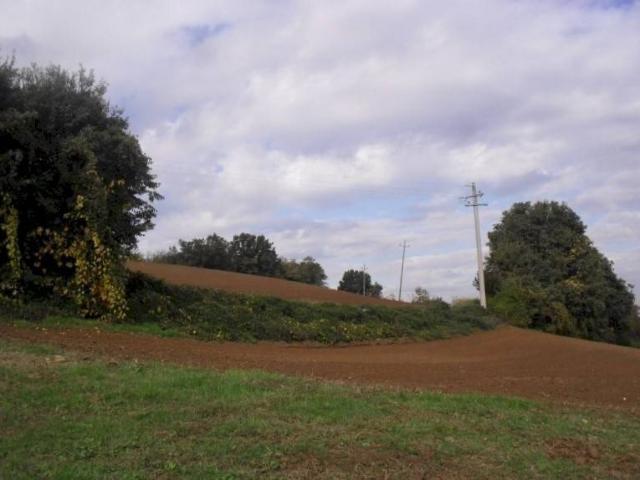 Terreno in vendita a Arca en Ciel onlus, Castel San Pietro Terme