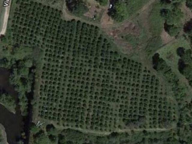 Terreno in vendita a Nepi, Lazio