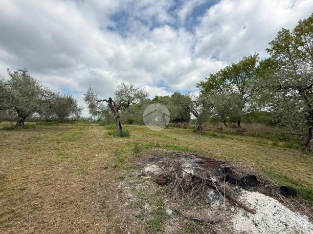 Terreno in vendita a Castel Sant'elia, Lazio