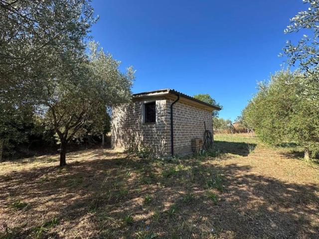Terreno in vendita a Nepi, Lazio