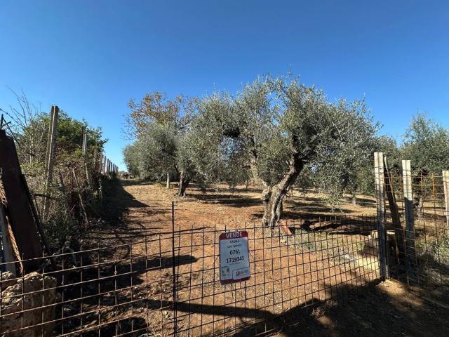 Terreno in vendita a Perazzeto, Castel Sant'Elia