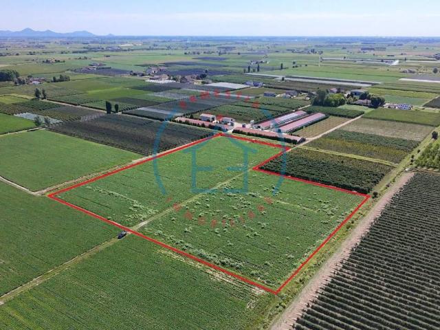 Terreno in vendita a Castelbaldo, Veneto