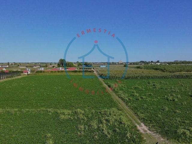 Terreno in vendita a Castelbaldo, Veneto