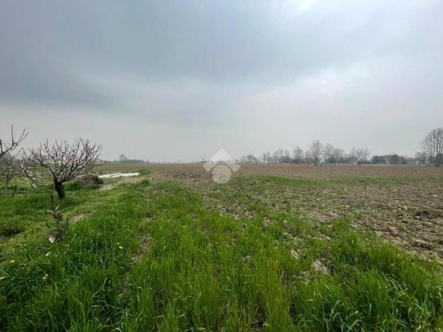 Terreno in vendita a Castelbelforte, Lombardia