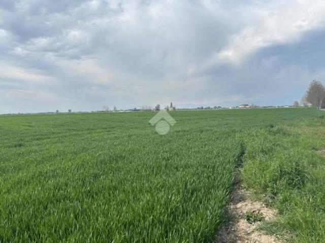 Terreno in vendita a Castelbelforte, Lombardia