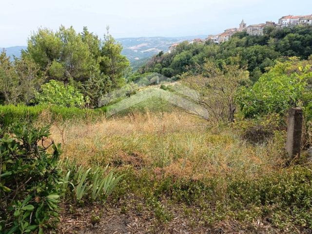 Terreno in vendita a Castelbottaccio, Molise