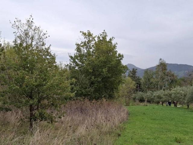 Terreno in vendita a Castelbuono, Sicilia
