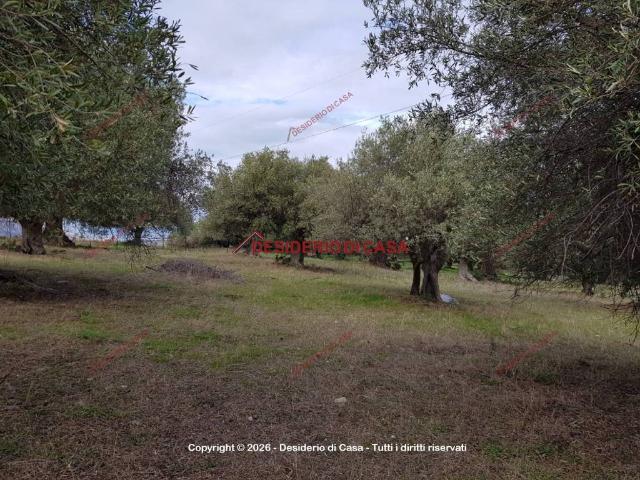 Terreno in vendita a Casteldaccia, Palermo