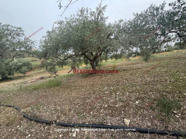 Terreno in vendita a Casteldaccia, Sicilia