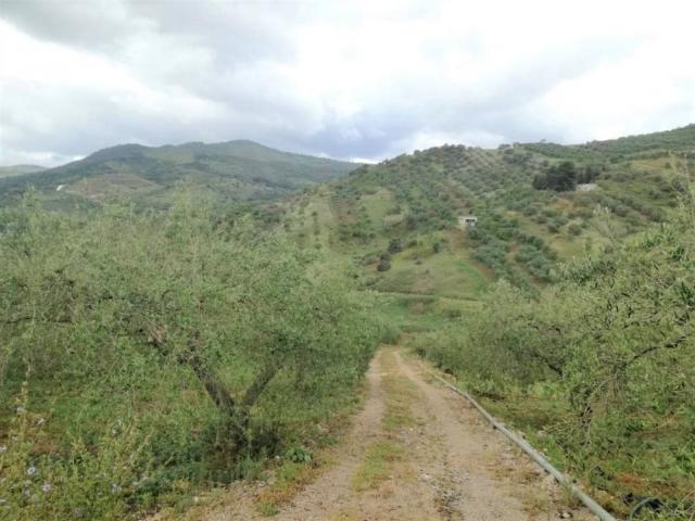 Terreno in vendita a Casteldaccia, Sicilia