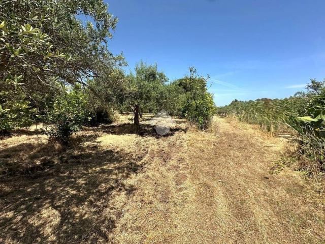 Terreno in vendita a Casteldaccia, Sicilia