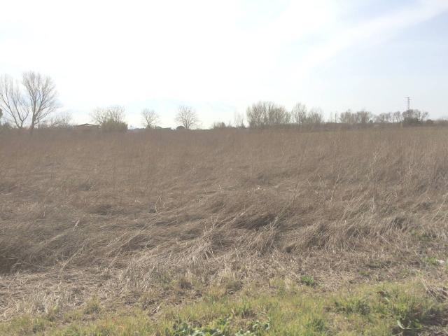 Terreno in vendita a Castelfranco Di Sotto, Toscana