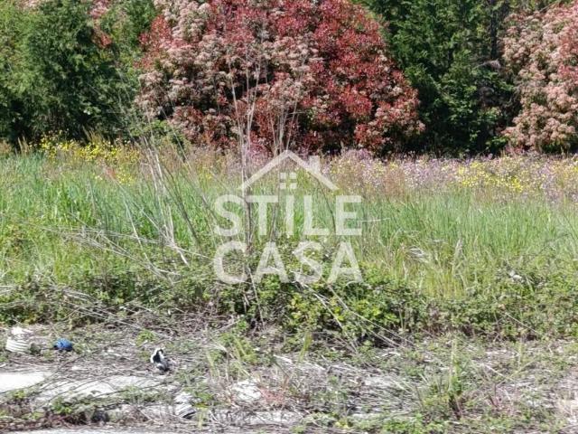 Terreno in vendita a Castelfranco Di Sotto, Toscana