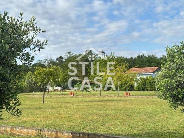 Terreno in vendita a Castelfranco Di Sotto, Toscana