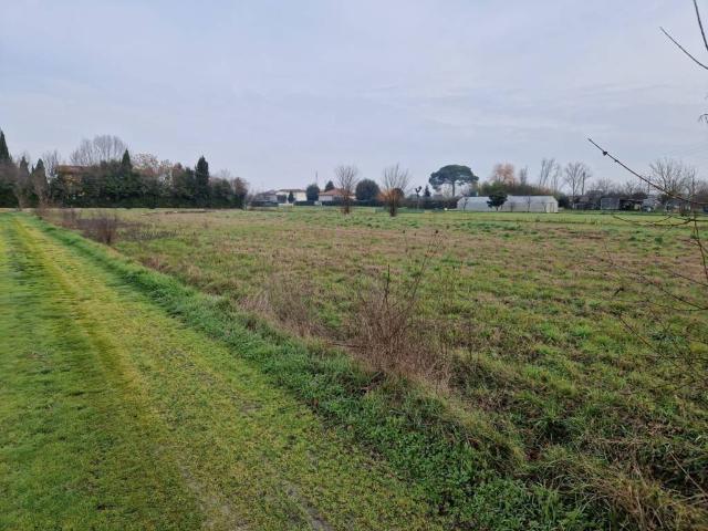 Terreno in vendita a Castelfranco Di Sotto, Toscana