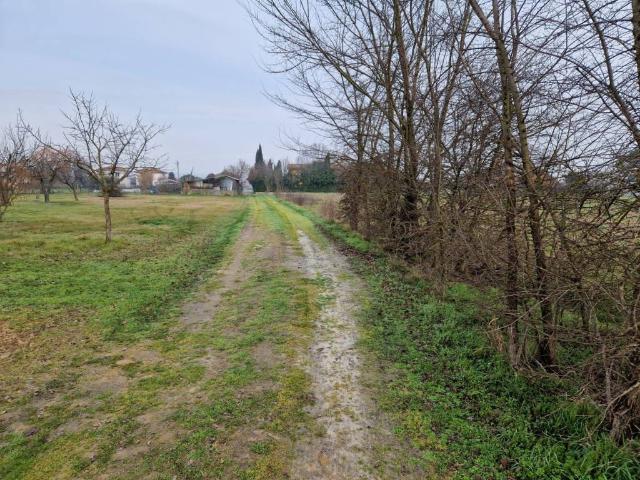 Terreno in vendita a Castelfranco Di Sotto, Toscana