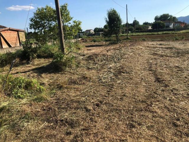 Terreno in vendita a Castelfranco Di Sotto, Toscana