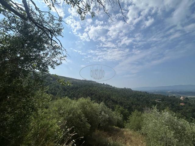 Terreno in vendita a Castelfranco Piandiscò, Toscana