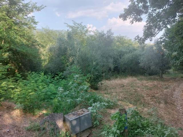 Terreno in vendita a Castelfranco Piandiscò, Toscana