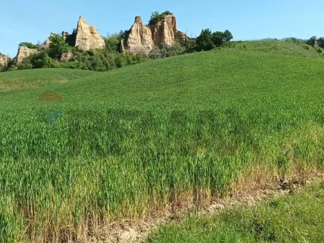 Terreno in vendita a Castelfranco Piandiscò, Toscana