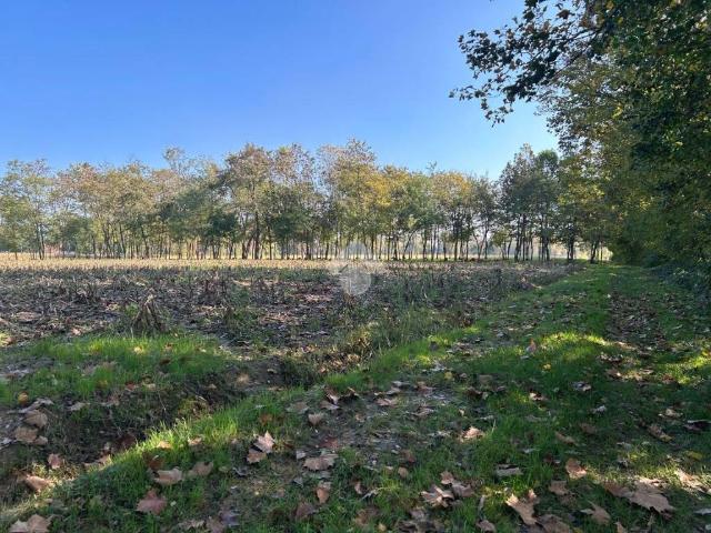 Terreno in vendita a Castelfranco Veneto, Veneto